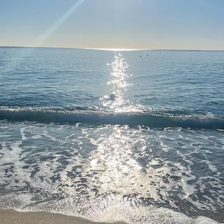 L'isola Dei Vacanzieri